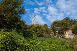 Read more about the article 그리스도인의 존재 이유